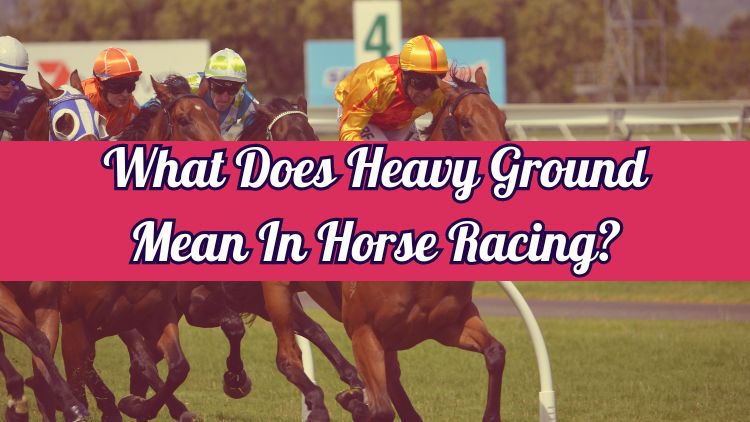 What Does Heavy Ground Mean In Horse Racing?