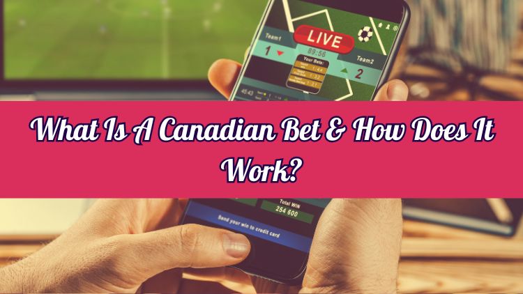 What Is A Canadian Bet & How Does It Work?