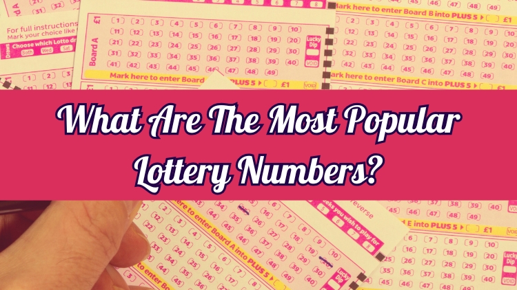 What Are The Most Popular Lottery Numbers?