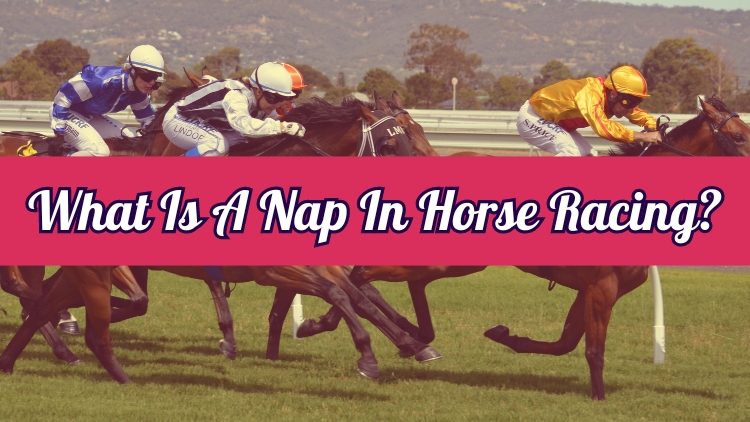 What Is A Nap In Horse Racing?